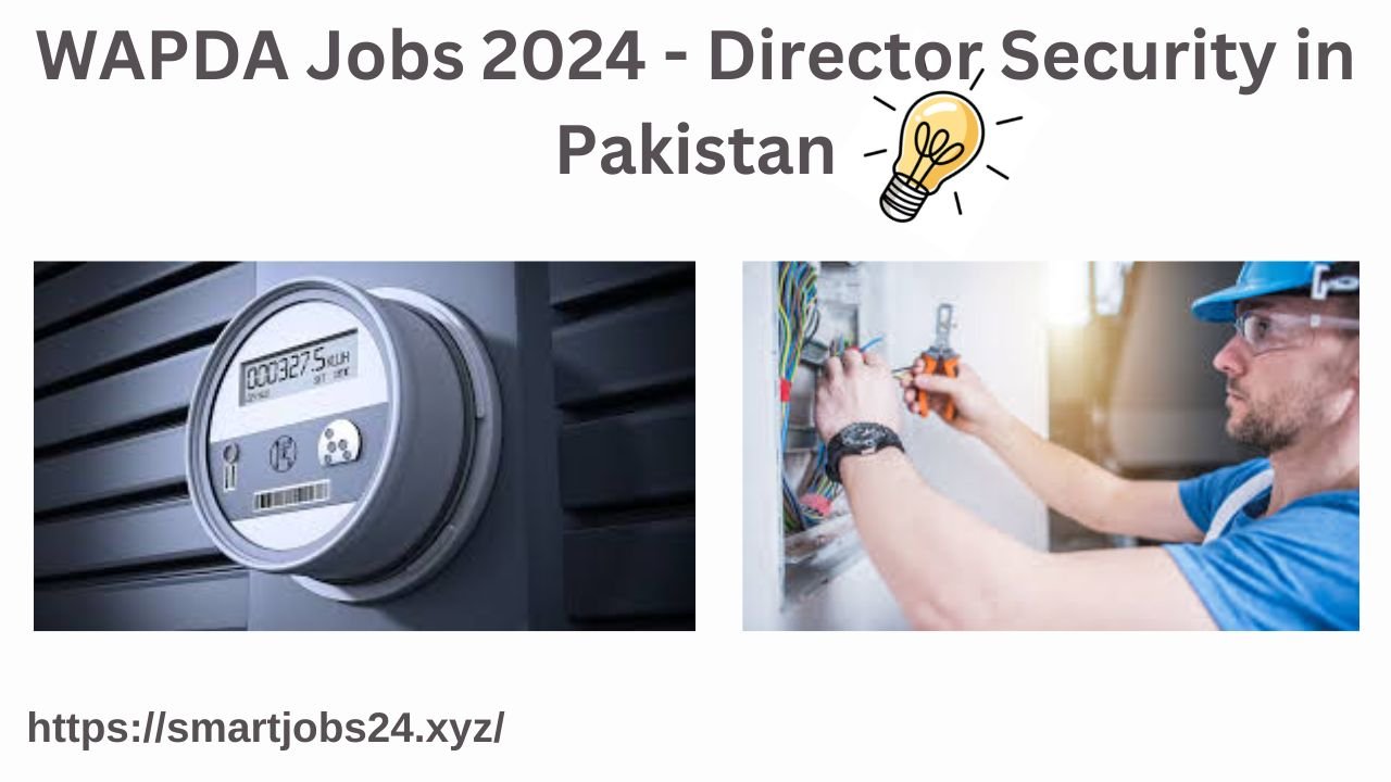 WAPDA Jobs 2024 - Director Security